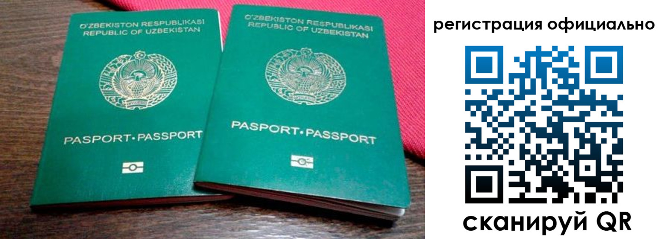 прописка регистрация в Сольцах